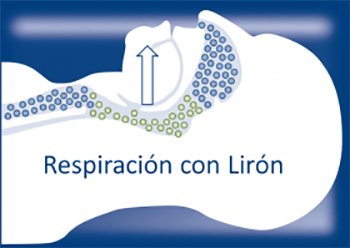 Accion-Liron-PAINT-300x218